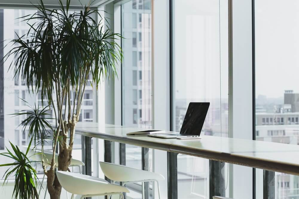 laptop placed at a window