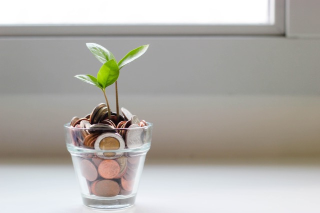 small plant with coins to show savings growing over time.